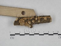 登錄號:F0025263藏品圖，第3張