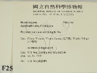 登錄號:F0025264藏品圖，第2張