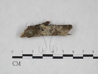 登錄號:F0025264藏品圖，第1張