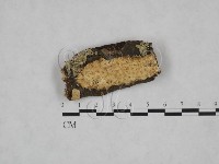 登錄號:F0025265藏品圖，第1張