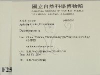 登錄號:F0025267藏品圖，第2張