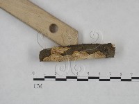 登錄號:F0025267藏品圖，第3張