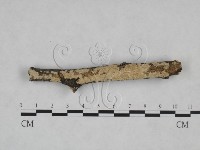 登錄號:F0025268藏品圖，第1張