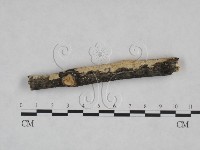 登錄號:F0025268藏品圖，第3張