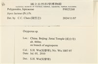 登錄號:F0025268藏品圖，第4張