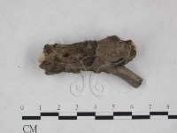 登錄號:F0025270藏品圖，第5張