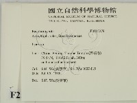 耙菌屬藏品圖，第2張