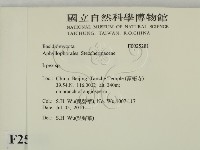 耙菌屬藏品圖，第2張