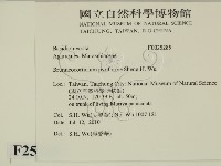 登錄號:F0025285藏品圖，第2張