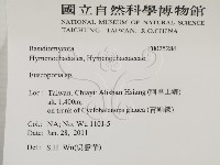 登錄號:F0025286藏品圖，第2張