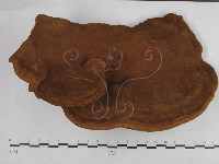 登錄號:F0025286藏品圖，第3張