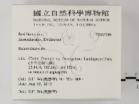 刺皮菌屬藏品圖，第2張