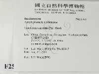 登錄號:F0025290藏品圖，第2張