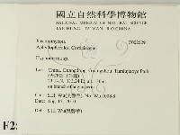 絲皮菌屬藏品圖，第2張