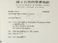 登錄號:F0025293藏品圖，第2張