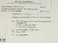 登錄號:F0025294藏品圖，第2張
