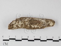 登錄號:F0025294藏品圖，第1張
