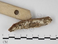 登錄號:F0025294藏品圖，第3張