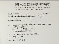 登錄號:F0025295藏品圖，第2張