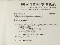 革墊菌屬藏品圖，第2張