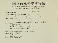 絲齒菌屬藏品圖，第2張