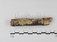 登錄號:F0025300藏品圖，第3張