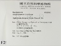 登錄號:F0025301藏品圖，第2張