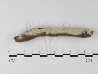 登錄號:F0025304藏品圖，第1張