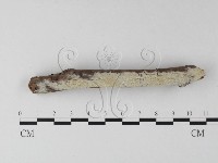 登錄號:F0025304藏品圖，第3張