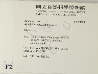 登錄號:F0025305藏品圖，第2張