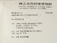 登錄號:F0025306藏品圖，第2張