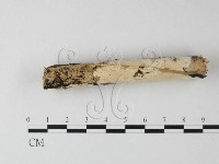 登錄號:F0025306藏品圖，第1張