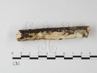 登錄號:F0025306藏品圖，第3張