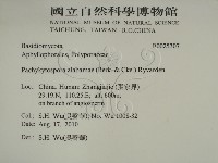 登錄號:F0025307藏品圖，第2張