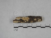 登錄號:F0025307藏品圖，第1張