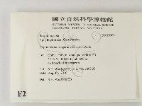 剛毛絲皮菌藏品圖，第2張