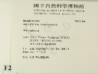 登錄號:F0025309藏品圖，第2張