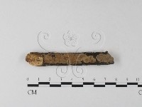 登錄號:F0025309藏品圖，第1張