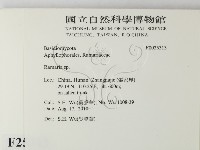 登錄號:F0025313藏品圖，第2張