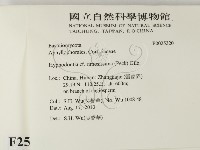 登錄號:F0025320藏品圖，第2張