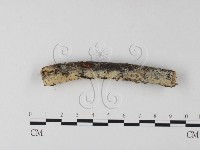 登錄號:F0025320藏品圖，第1張