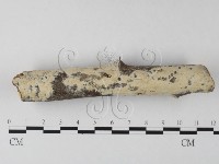 登錄號:F0025322藏品圖，第1張