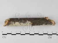 登錄號:F0025322藏品圖，第3張