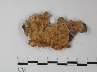 登錄號:F0025323藏品圖，第1張