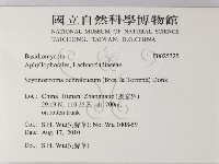 登錄號:F0025325藏品圖，第2張