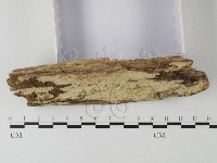 登錄號:F0025325藏品圖，第3張