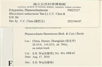 登錄號:F0025327藏品圖，第4張