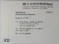 登錄號:F0025328藏品圖，第2張