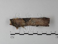 登錄號:F0025328藏品圖，第1張