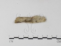 登錄號:F0025329藏品圖，第1張